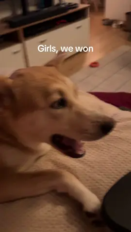 My 26 year old mom probably rewatched this about 5 times already 🙈 #cutedogsoftiktok #tsitpfinale #adoptdontshop 