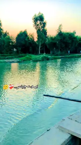 #Malik #Shoaib #307🔥💫  #fyourpage #fypシ゚viral🖤tiktok 