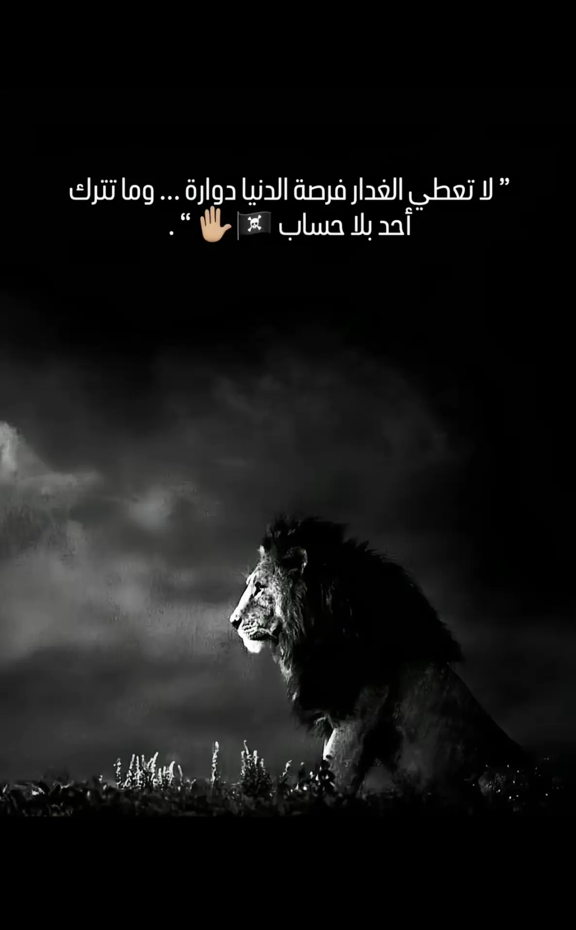 #نشالله_خير 