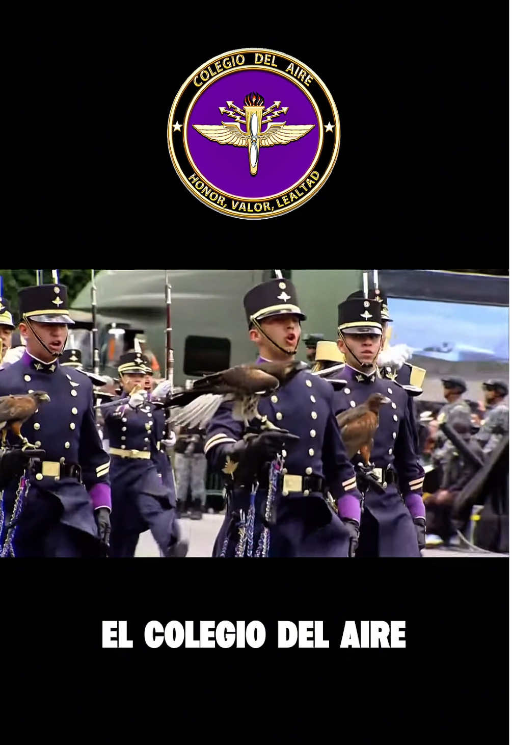 El Colegio del Aire ✈️ Desfile Civico Militar 🇲🇽 #mexico #desfilemilitar #fuerzaaerea 