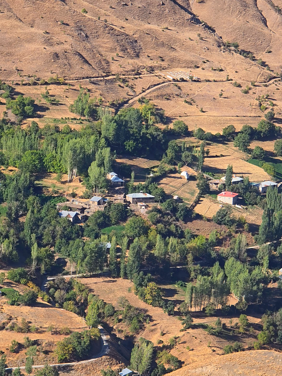 yaşlıkavak/taxanızar 🌺 #keşfet #köyhayatı #köydekidoğallık #köydeyaşam #bahçesaray 