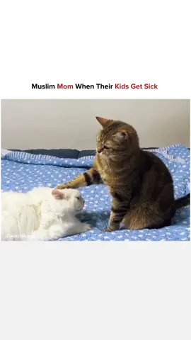 Muslim Mom When Their Kids Get Sick 🤒 #1millionaudition #islam #foryoupage❤️❤️ #islamic_video #1millionaudition #islam #foryoupage❤️❤️ #islamic_video #1millionaudition #islam #foryoupage❤️❤️ #islamic_video #1millionaudition #islam #foryoupage❤️❤️ #islamic_video #1millionaudition #islam #foryoupage❤️❤️ #islamic_video #1millionaudition #islam #foryoupage❤️❤️ #islamic_video #1millionaudition #islam #foryoupage❤️❤️ #islamic_video 