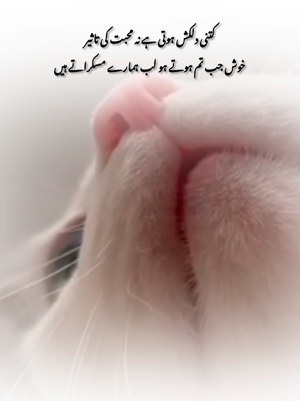❤️‍🩹🥹#foryou #flypシ #1millionaudition #poetry #myousaf 