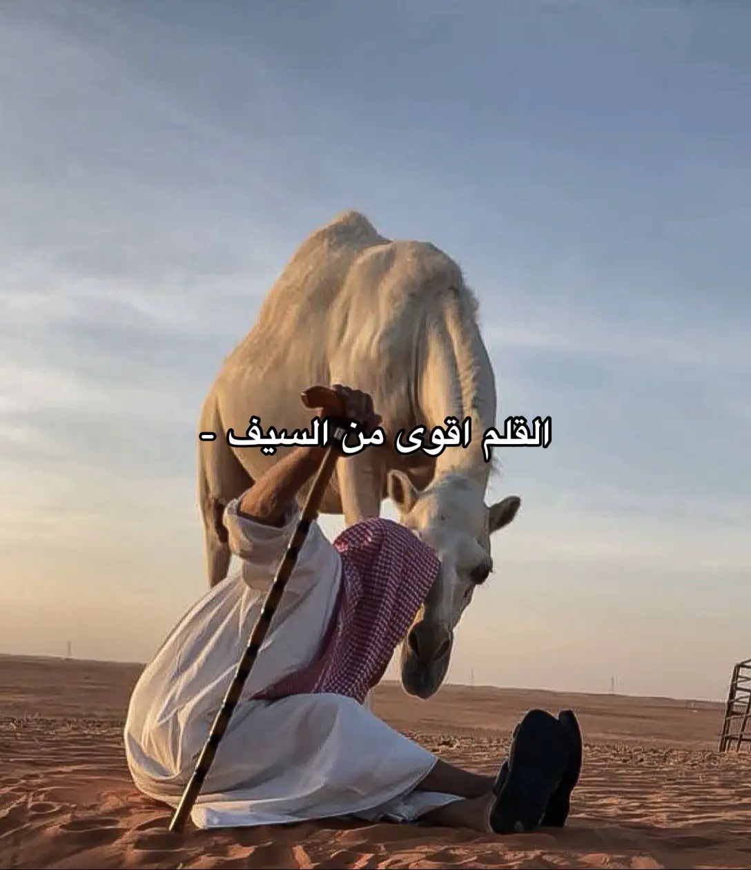 العنوان | القلم اقوى من السيف  #هواجيس #fypシ゚viral #foryoupage #fyp #fypシ  