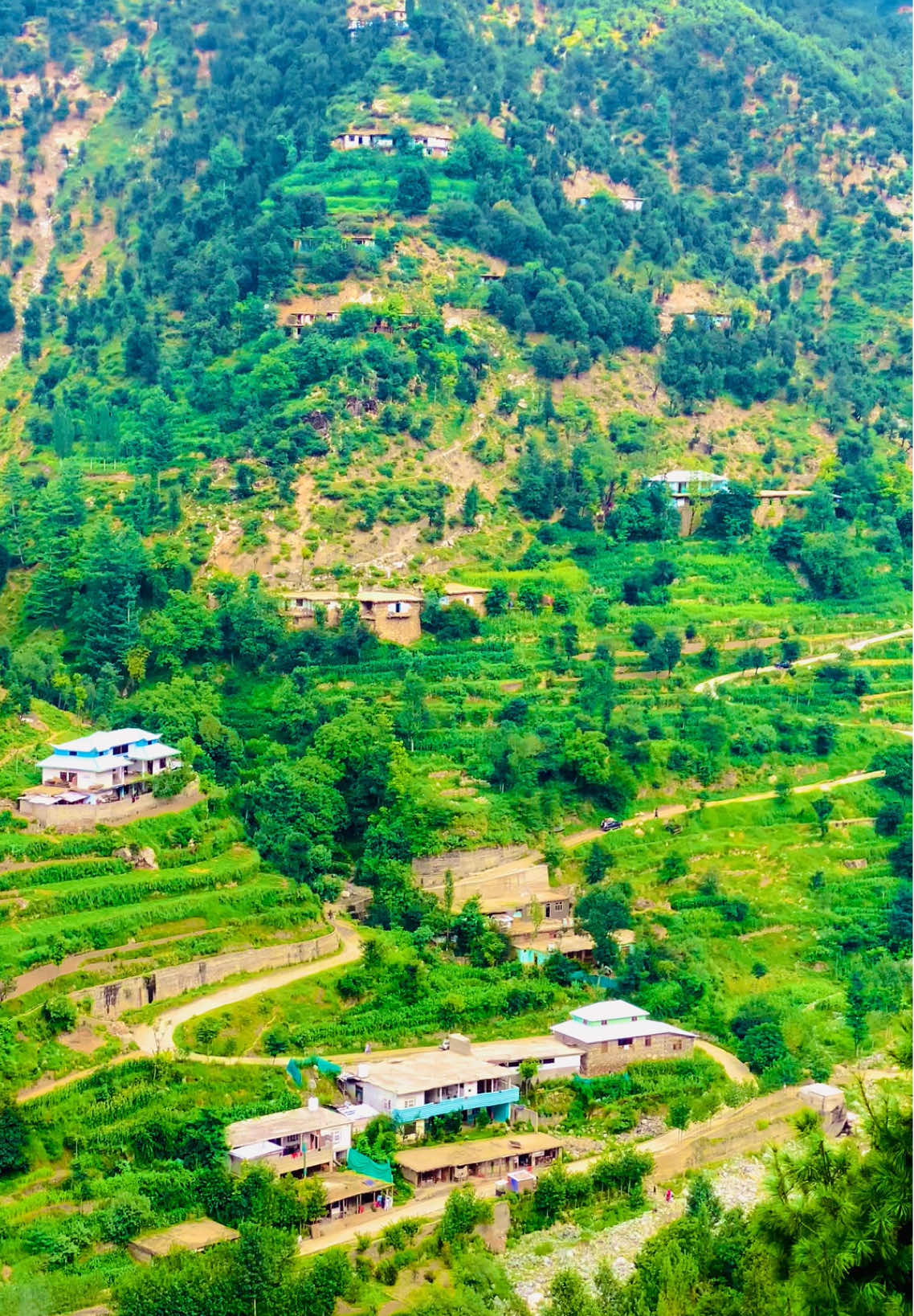 Viral this amazing beauty❤️‍🔥🍹 #usheribeauty48 #growmyaccount✅ #viewsproblem #fypシ゚viral🖤tiktok #fypシ゚ 