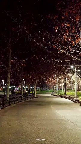 وأنت الطريق.. وانت الصديق #هدوء #بدون_موسيقى 