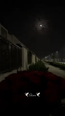 #وائل_جسار #تترات_مسلسلات_لا_تنسى #ذكريات #fyp #explore 