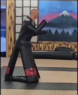 Here's a clip from one of our other videos. It took quite a few takes to make it look realistic. Check out the original on our profile! #karate #martialarts #mortalkombat #funny #fyp 