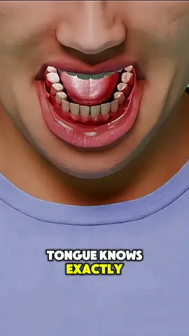 How the Tongue Tastes Everything - 3D Animation #TongueTaste #TasteBuds #HumanBodyFacts #3DMedicalAnimation #MedicalAnimation