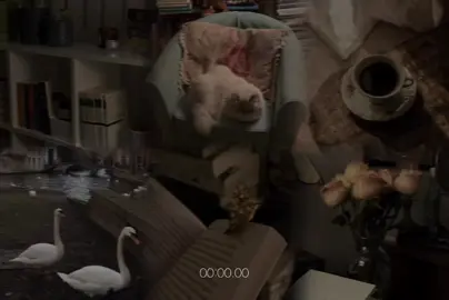 ✨️ #v1iolaa #actives? 