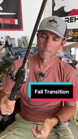 Master the fall transition! Join me tomorrow on Ike in the Shop! @Abu Garcia @TW @Berkley Fishing @molix_official 