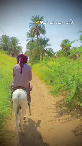 #النصري_ملك_الطمبور🇸🇩🤩💗 #الطمبور_صديقنا_وعزنا_وملجأنا🎶🎼 #الشماليه_مروي_الدبه_دنقلا_شوايقه_بديريه #دنقلا_المحس_السكوت_حلفا_اسوان #خجووو_الشغل_دا_يناااس 