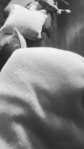 COVER em UP Chucho!!🫣🤣🤣#fyipシツ #pitbull #pitbullsoftiktok #arizona #dogsoftiktok 