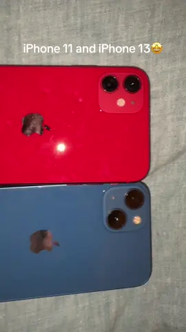 They are so beautiful #fyp #viral #dontflop #foryoupage #iphone13 