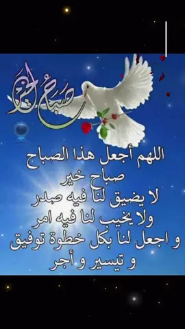 #مريم🤍❤🤍❤🤍 