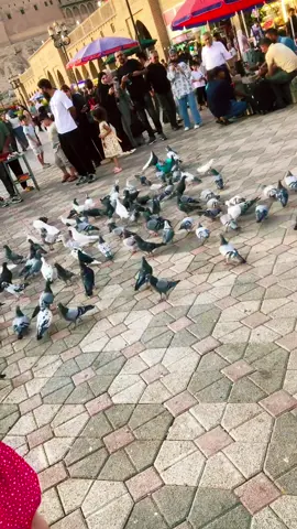 #اربيل #كردستان🇹🇯_دهوك_زاخو_اربيل🇹🇯 #🌷 