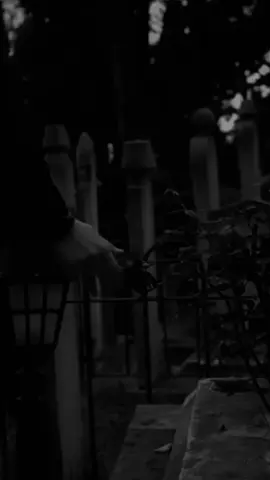 Ağırsözler (takip edermisiniz)😎