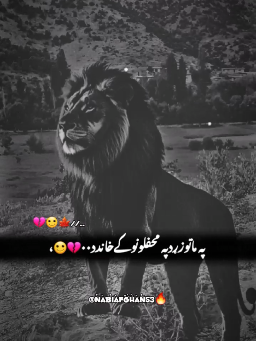 #CapCut حاجی قسمته په ماتوزړدپه محفلونوکےخاندد💔😉#empathy#fyb>viral#پښتون_تاجیک_هزاره_ازبک_زنده_باد🇦🇫 ##creatorsearchinsights