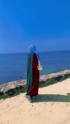 nolosheydii