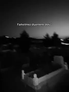 #güven #şüphe #heranheryerde #kesfet #lesfetbenialartik 