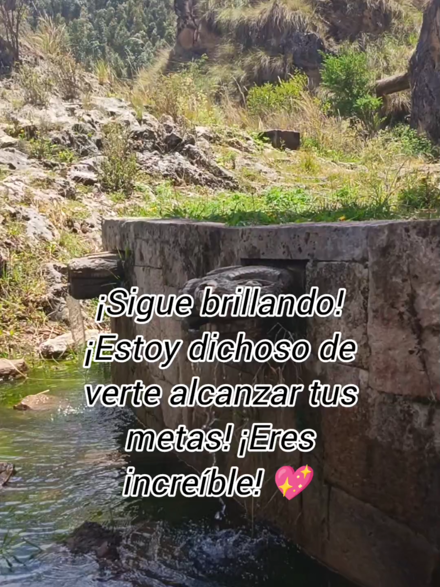 #LIVEIncentiveProgram #JustGoLIVE #PaidPartnership 