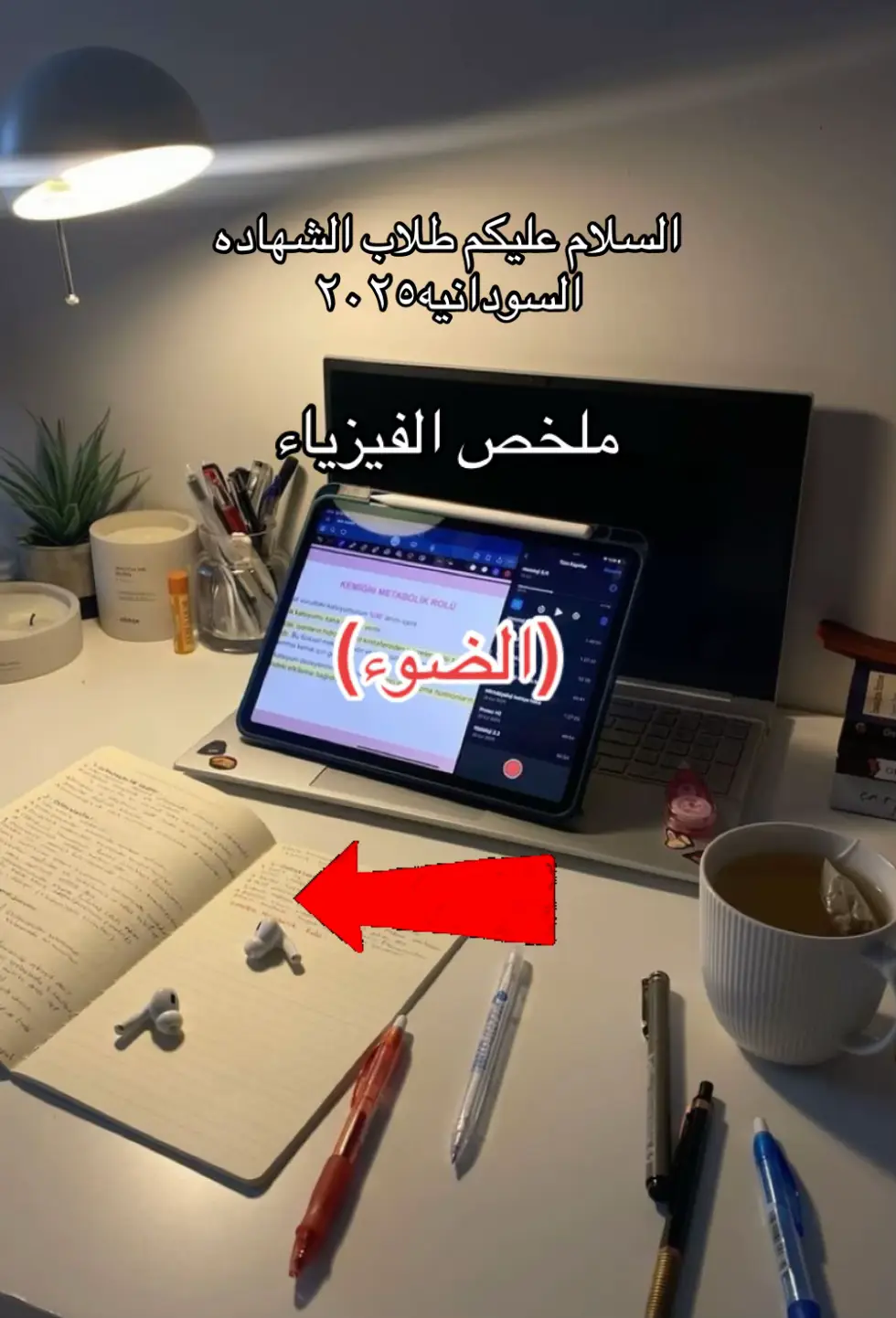 #السودان🇸🇩 #sudan #fyppppppppppppppppppppppp #الشعب_الصيني_ماله_حل😂😂 #sudanese_tiktokمشاهير 