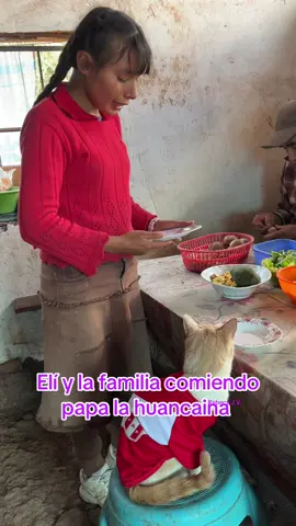 Elí y la familia comiendo papa la huancaina  #gatocometodo #gatointeligente #gatofeliz #vidadelcampo #familiareal 