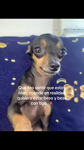 @elmituUwU #paratiiiiiiiiiiiiiiiiiiiiiiiiiiiiiii 