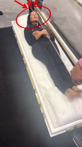 #celebridades #filmes #cameronboyce #curiosidades 