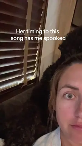 #dogsoftiktok 