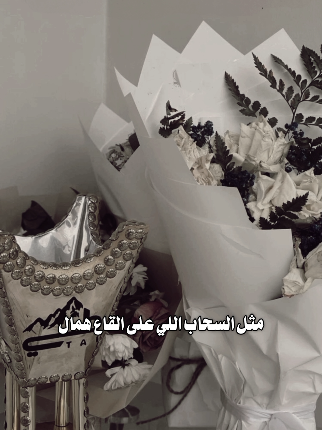 قبيلة طيء 🤍🔥 #طيء_حكام_الجزيرة_والشام #طيء #الحواتم #حايل #fyp 