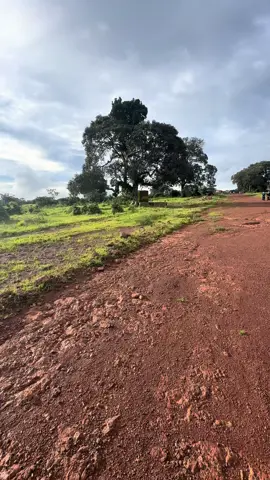 Sagale ❤️#guinee🇬🇳🇬🇳 #foutadjallon 