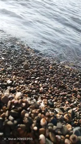 #شعب الصيني 