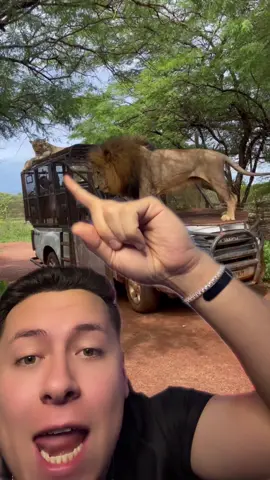 Hasta los animales andan en Uber 😂 #antonyviews 