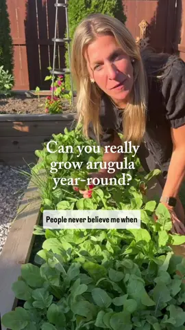 Go to my bio if you want your own backyard salad bar! 🥗 Arugula stays booked and busy all year long.   It doesn’t take a season off, it grows strong in heat, cold, and everything in between. And once you’ve had arugula fresh from the garden, there’s no going back to those sad store-bought bags.  That’s why it’s one of the 10 foolproof seeds in my Easy Garden Kit. #gardening #salad #arugula #organicgardening #seeds 