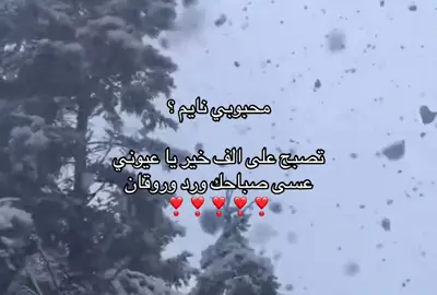 محبوبي نايم؟🥹 #fyppppppppppppppppppppppp #هواجيس #explore #تصميم_فيديوهات🎶🎤🎬 