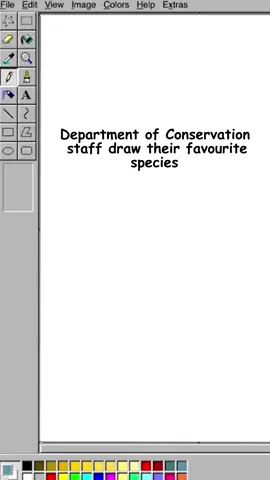 Microsoft Paint is our canvas, New Zealand species are our muse 🤌 🎨 We asked DOC staff to get naturing a little differently – by drawing their favourite species in Microsoft Paint… in just 2 minutes. These are the results. Can you guess what they are? Bonus points if you can tell us a fact about them 😉 (answers in the comments) #AlwaysBeNaturing #fyp #conservationtok #naturetok #wildlifeconservation
