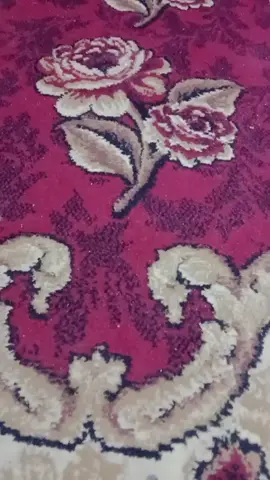 اليمن مأرب 