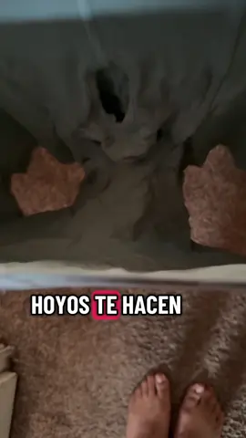 Calzones en descuento adicional por campaña de TikTok shop 