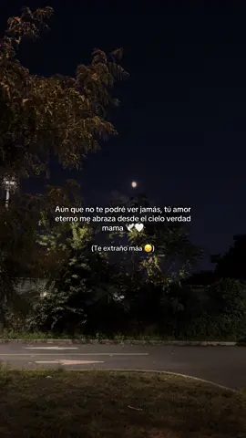 Mamá se fue pero siempre será mi más grande inspiración 🤍🥺#parati #mimama #teextrañotanto #hastaelcielo #unbesoalcielo 