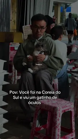 #gatinhosfofos #coreiadosul #고양이 #dorama 