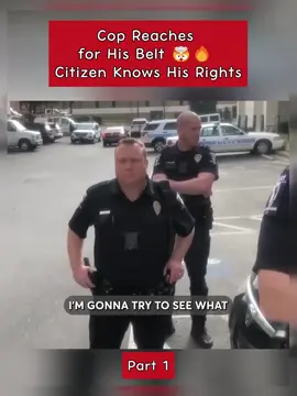 #cops #audit #fyp #coptok #copsoftiktok 