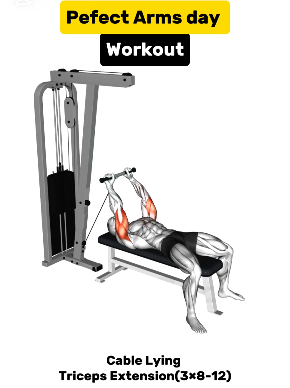 Perfect Arms day workout 💪 #armstrong #armsday #workoutmotivation #Fitness #GymTok 