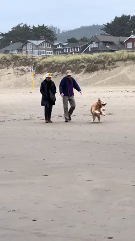The cutest couple and their dog 🥹 I hope this tiktok finds them