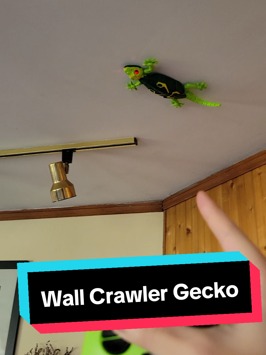 Lizard...Lizard...Lizard... Get your own Wall Crawler Gecko toy on limited time sale right now with free shipping! 🦎 #toys #lizard #kids #teenagers #kidstoys 