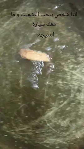 #الشعب_الصيني_ماله_حل😂😂 #ترند 