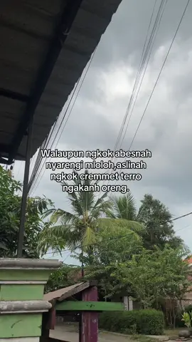 #katakatamadura #quotesmadura #madura 