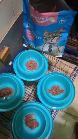 Mr Vet makanan kucing dengan tambahan toping ikan. Fee 4 pcs 50 gr. #kucing #kucinglucu #kucinggemoy #pasticuan #sorotan 