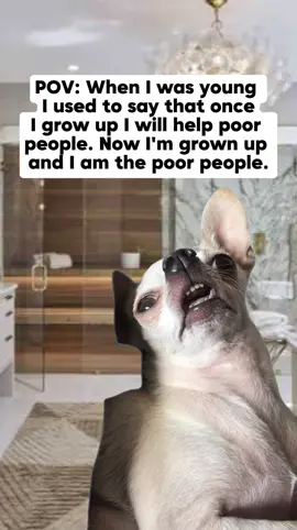 #MemeCut🤣🤣🤣🤣🤣🤣🤣🤣🤣fypppppppppviralllllllllll🔥🔥🔥🔥🔥🔥🔥🔥🔥🔥🔥suprememotivationalqiotesdaily❤️❤️guyanesetiktokmemesoftiktok #blowthisupformepleasetiktok❤️🥰🙏🏾fyp #guyanesetiktokor🇬🇾❤️fyp❤️🥰 #fypシ゚viral🖤tiktok☆♡🦋myvideofypシ゚viraltiktok☆♡🦋myvideo🤗foryou✨♥️#memecut😂😂😂😂😂✌🏽✌🏽✌🏽🙌🏽🥹 