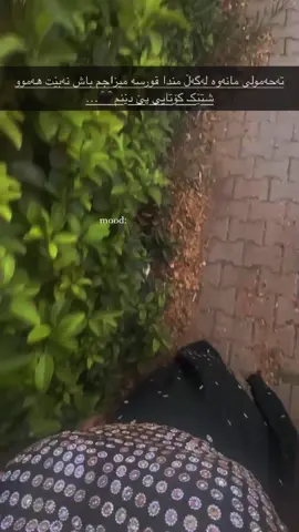 تەحەموولی مانەوە لەگەڵ مندا قورسە میزاجم باش نەبێت هەموو شتێک کۆتایی پێ دێنم🌚🖤…#tiktok #hashtags #foryou #like #fyp 